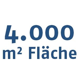 Fläche Fläche