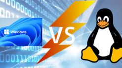 Windows vs Linux