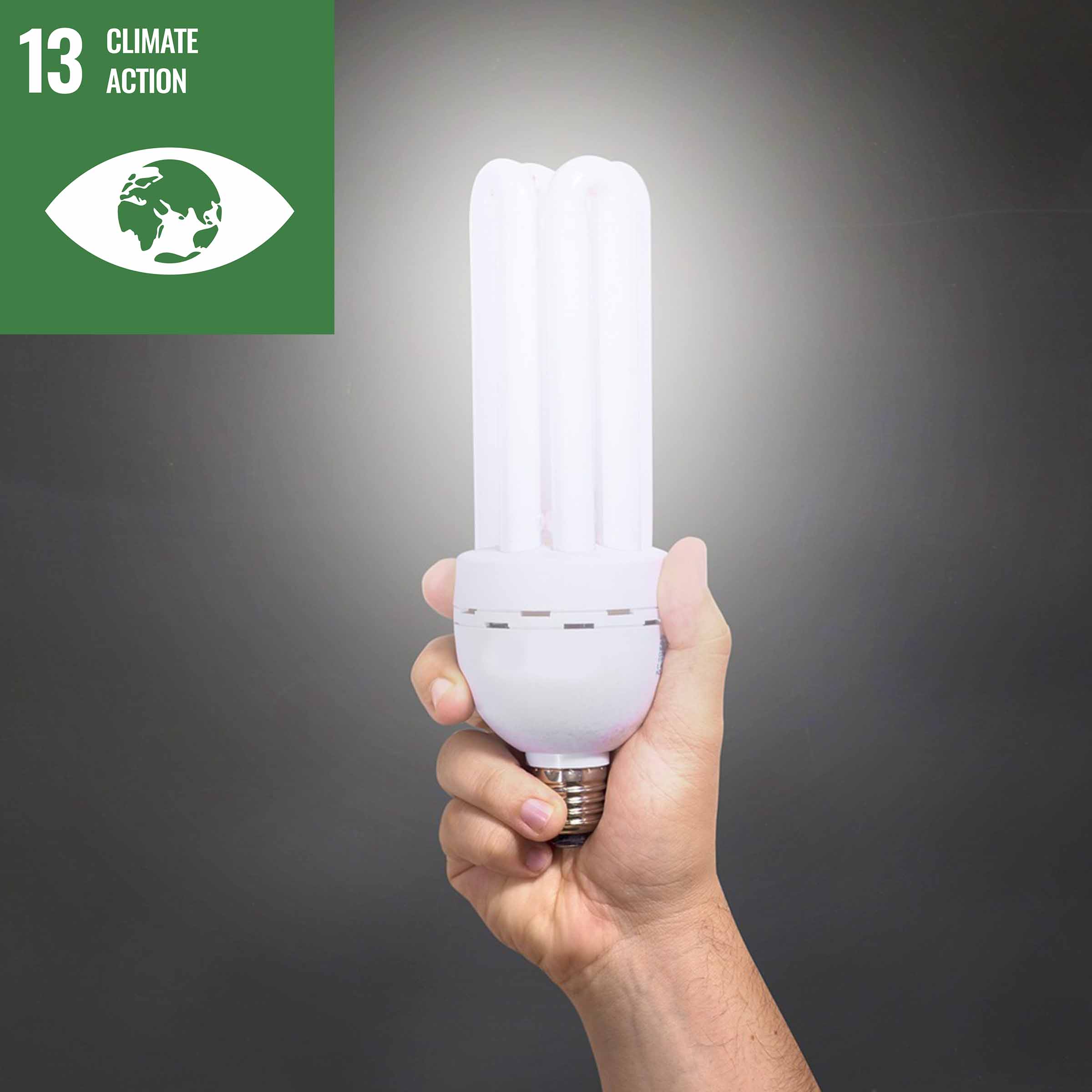 LED lamp SDG 13