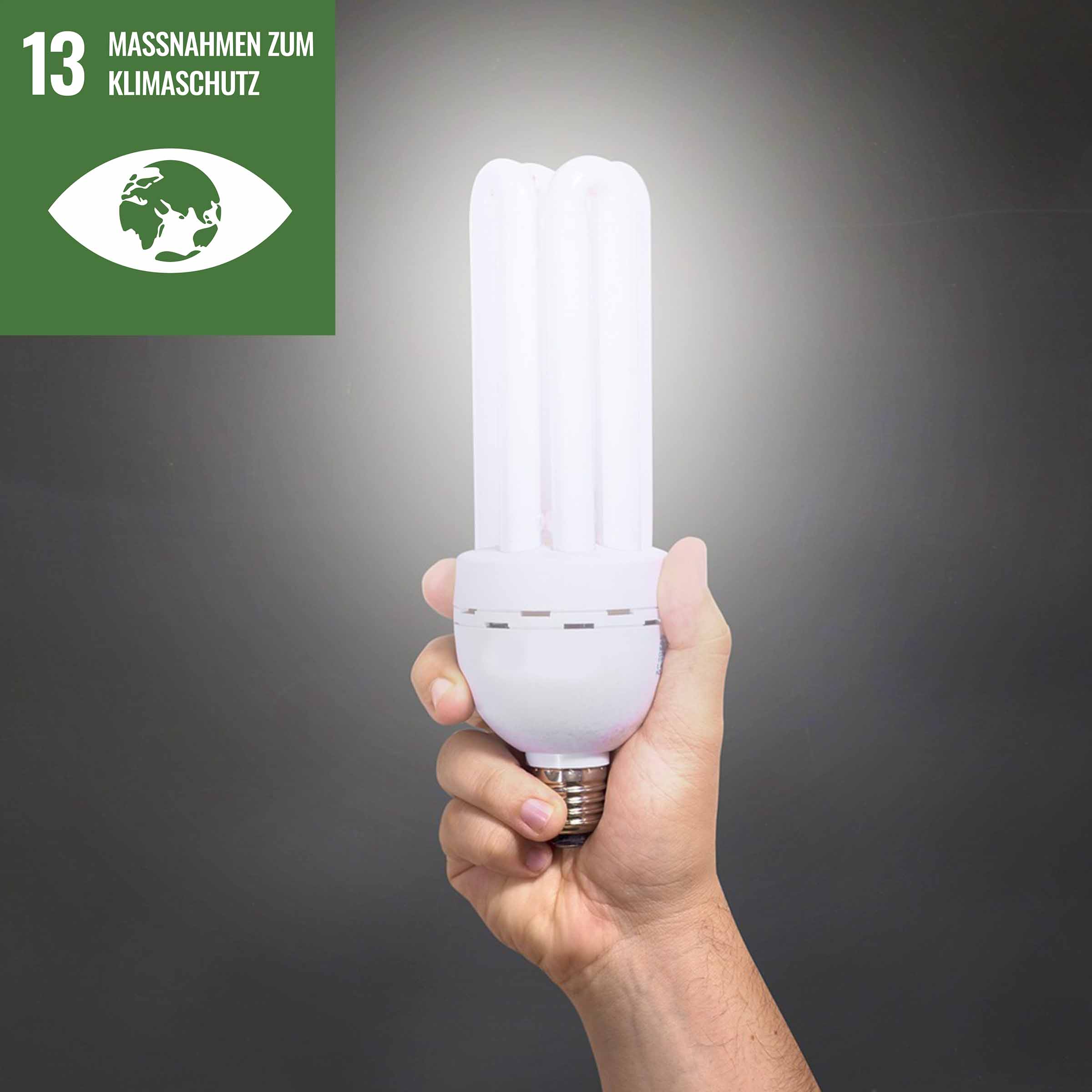 LED-Lampe_SDG13