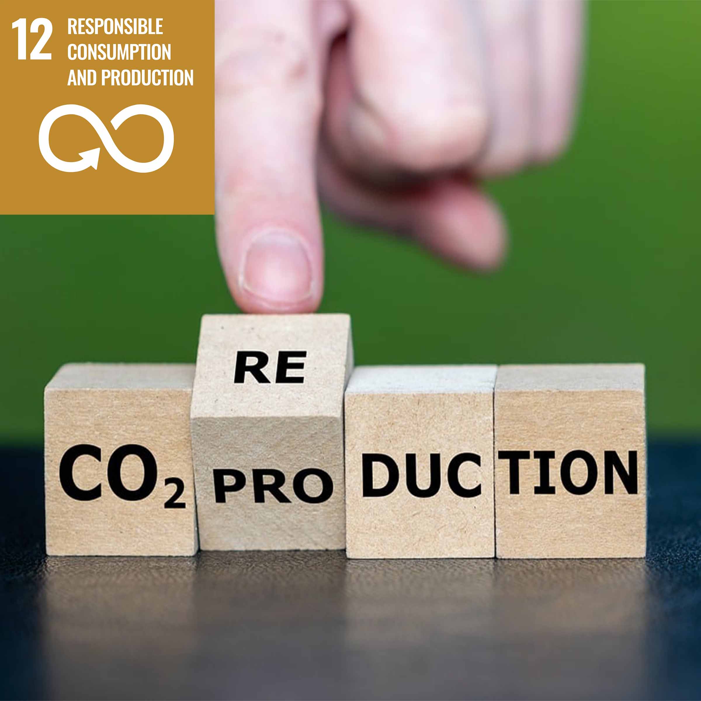 CO2-Reduction_SDG12