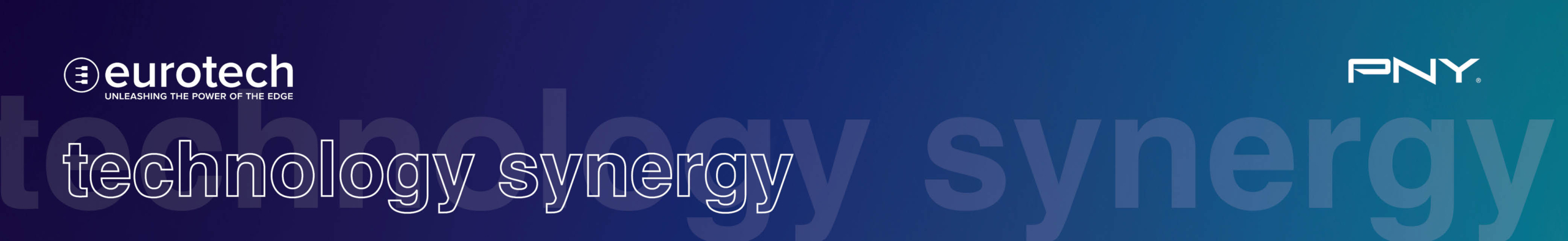 Eurotech und PNY