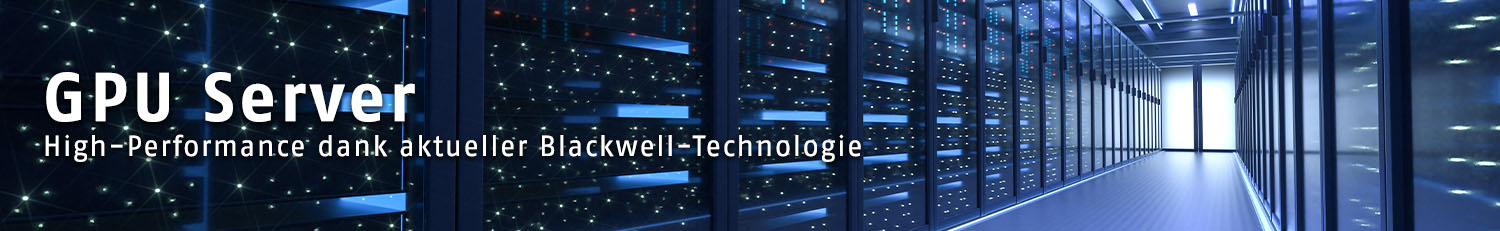 GPU Server