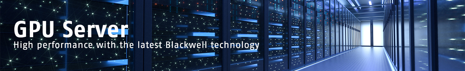 GPU Server